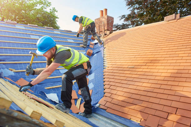 Best Roof Insulation Installation  in Inverness, CO